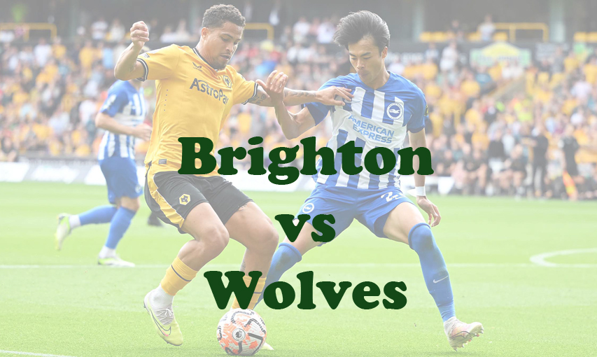 Prediksi Bola: Brighton vs Wolves 23 Januari 2024