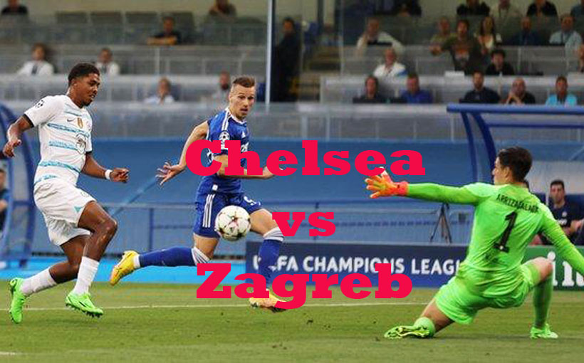 Prediksi Bola: Chelsea vs Zagreb 3 November 2022