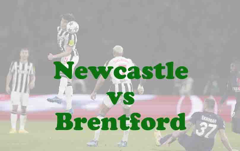 Prediksi Bola: Newcastle vs Brentford 8 Februari 2026
