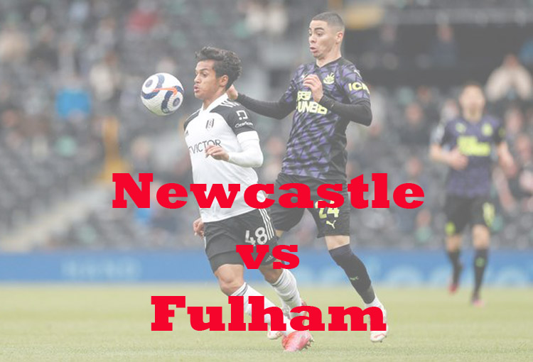 Prediksi Bola: Newcastle vs Fulham 15 Januari 2023