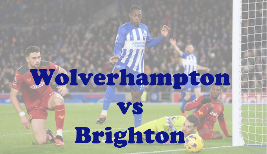 Prediksi Bola: Wolverhampton vs Brighton 29 Februari 2024