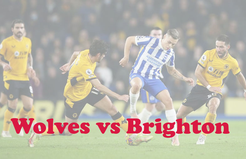 Prediksi Bola: Wolves vs Brighton 19 Agustus 2023